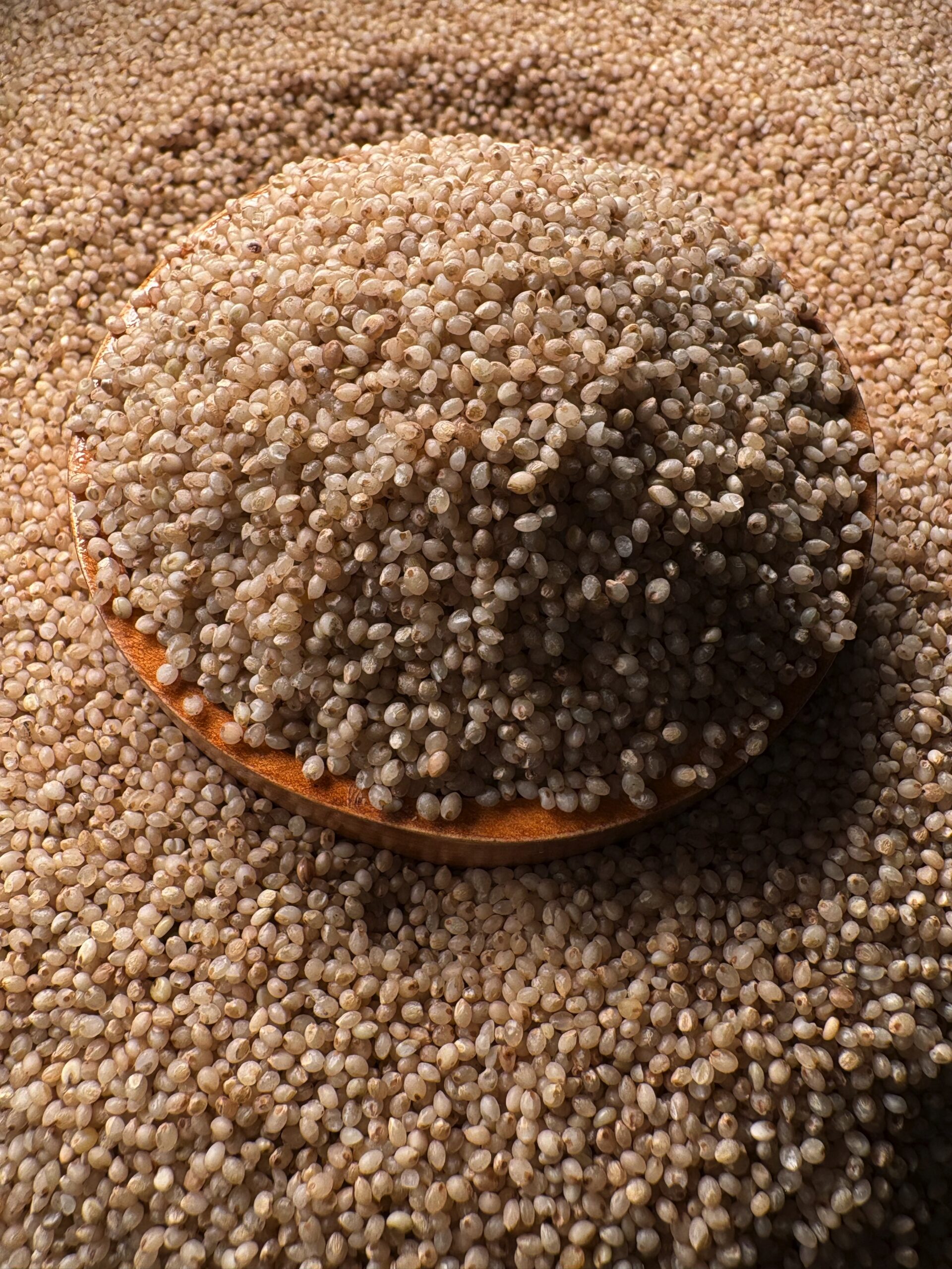 Proso Millets 3